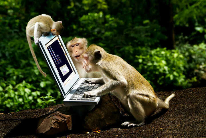 too many monkeys online. when can we monkeys actually meet up collectively? Is there an AGM with Tpas or Xmas party  :}